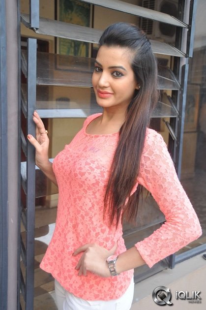 Diksha-Panth-at-Kavvintha-Movie-Press-Meet